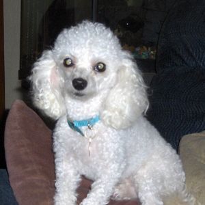 Meet your Posher, Lynn